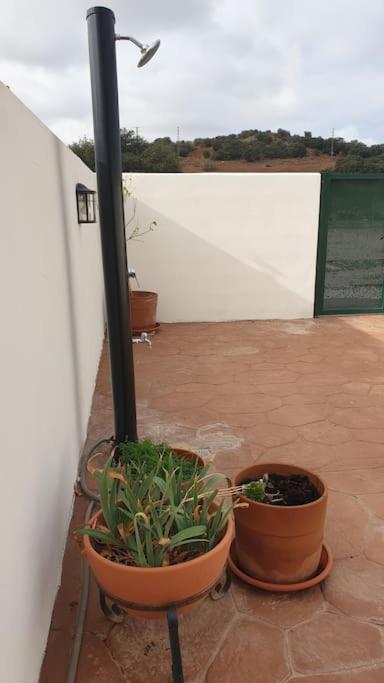 Casa La Hojiblanca Villa Mancha Real Exterior foto